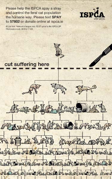cut-the-cruelty-ispca